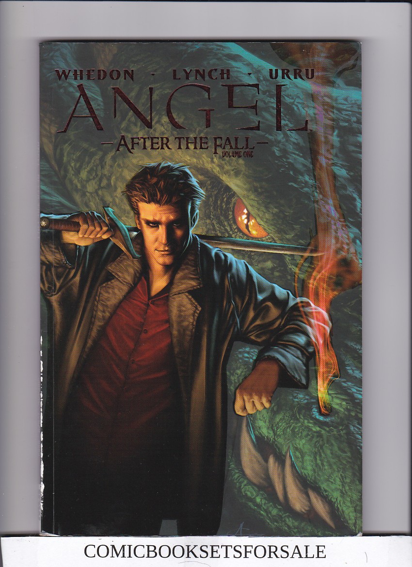 Angel After the Fall TPB 1