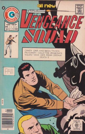 Vengeance Squad (Charlton) #6